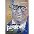 Livro - na Entrada-das-águas: Amor e Liberdade em Guimarães Rosa