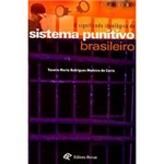 Livro - o Significado Ideológico do Sistema Punitivo Brasileiro