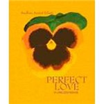 Livro - Perfect Love - o Livro dos Noivos