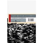 Livro - que Resta de Auschwitz, o