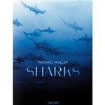 Livro - Sharks