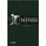 Livro - Tecnologia da Gaseificação de Biomassa