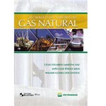 Livro - Tecnologia da Indústria do Gás Natural