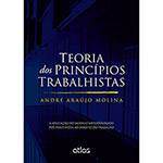 Livro - Teoria dos Princípios Trabalhistas: a Aplicação do Modelo Metodológico Pós-Positivista ao Direito do Trabalho