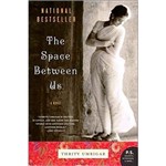 Livro - The Space Between Us