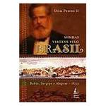 Livro - Viagens Pelo Brasil