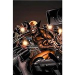Livro - Wolverine: Dark Wolverine - Vol. 2 - My Hero