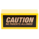 Luminária Caution no Parents Allowed