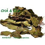 Mangaba Folhas - Hancornia Speciosa. (Mangabeira) 150 Gr.(G)