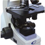 Microscopio Binocular Infinito Planacromatico - N 120/inf.p - Coleman - Cód: N120 Inf P