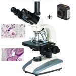 Microscopio Trinocular LED com Câmera USB 3.1 Megapixels