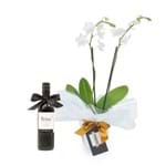 Mini Orquídea Branca + Vinho Tinto Brisa 375ml