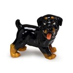 Miniatura Cachorro Rottweiler Filhote de Resina