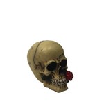 Miniatura Crânio Caveira Decorativa Resina com Mini Flor