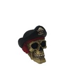 Miniatura Crânio Caveira Decorativa Resina Mini Pirata