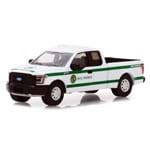 Miniatura Picape Ford F-150 2016 NYC Parks - 1:64 - Greenlight