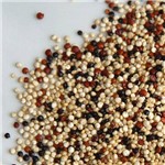 Mix de Quinoa em Grãos 1kg - Orgânica e Importada