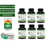 Moringa Oleifera Capsulas (Kit com 06 Potes) 100% Natural - PRODUTO ORGANICO