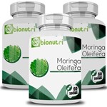 Moringa Oleifera - Original - 500mg - 3 Potes