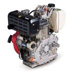 Motor à Diesel 13 Hp 4 Tempos com Redução e Partida Elétrica - Bd-13.0r - Branco