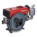 Motor a Diesel Branco BDA-22.0TE 22Cv 1195cc Partida Elétrica