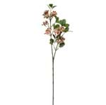 Nina Flor Euphorbia Rosa/verde