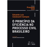 O Princípio da Eficiência no Processo Civil Brasileiro