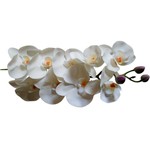 Orquídeas Artificias 3D em Silicone 6 Hastes Branco