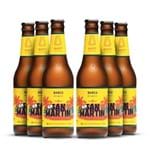 Pack 6 Cerveja Artesanal Barco San Martin - 355ml