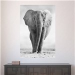 Painel Adesivo de Parede - Elefante - N2578