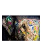 Painted Elephant I Fotografia Painted Elephant I - Fotografia 50X75Cm