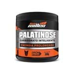 Palatinose 300g Natural - New Millen