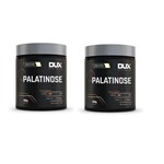 Palatinose (400g) 2 Unidades - DUX Nutrition
