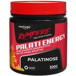 Palatinose Palati Energy Rumpere 300G