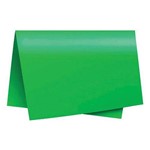 Papel Color Set 48 X 66cm Verde Bandeira Nova Print