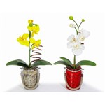 Par Vasos Arranjo Sintético de Orquídeas em Vaso de Vidro