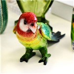 Pássaro Decorativo de Resina Colorido - 57773