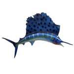 Peixe Agulhao Vela Salfish Médio Decoração de Parede.