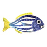 Petisqueira Peixe Azul Pesce