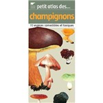 Petit Atlas Des Champignons