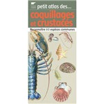 Petit Atlas Des Coquillages Et Crustaces