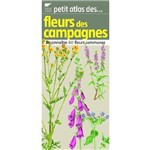 Petit Atlas Des Fleurs Des Campagnes