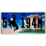 Placa de Carro de Metal Importada 5 194m Wyoming