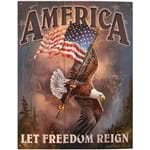Placa de Metal America Aguia da Liberdade