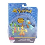 Pokémon Pack 3 Bonecos Grovyle - Combusken - Marshtomp - Tomy