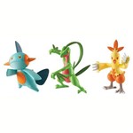 Pokémon 3 Pack Grovyle - Combusken - Marshtomp Tomy T18524