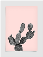 Poster Cactus A3