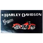 Quadro de Resina Harley Davidson