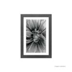Quadro Decorativo Bloom 23x33cm Cinza Infinity