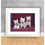 Quadro Decorativo Cachorro - West Highland Terrier Cachorro 30 Branca